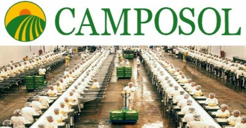 Camposol 